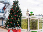Bioenergy illuminates Christmas pines